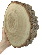 Plátok dubového dreva s hrúbkou 25-30 cm. 5 cm Rezaná kôra