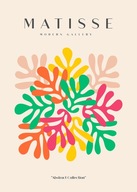 MATISSE Farebné vzory PLAKÁT 50x70cm #622 MATISSE Farebné vzory PLAKÁT 50x70cm #622