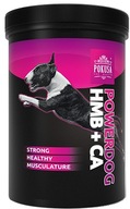 PowerDog HMB + CA 250G Temptation PowerDog HMB + CA 250G Temptation