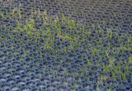 Podložka na prerastanie detských ihrísk 50x100cm CERTIFIKÁT Podložka na prerastanie detských ihrísk 50x100cm CERTIFIKÁT