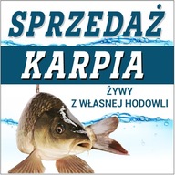 KAPOR BANNER VÝPREDAJ KAPOROV ŽIVÉ KAPRY RÔZNE VZORKY