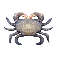 Vankúš maskot bahenného kraba Gaby, 60 cm