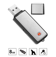 ERROR Spy Voice Recorder Mini Pendrive 8GB USB DISKRÉTNE 18 hodín ERROR Spy Voice Recorder Mini Pendrive 8GB USB DISKRÉTNE 18 hodín