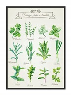 OBRAZOVÝ PLAGÁT V RÁME 53x73 cm Bylinky P806 OBRAZOVÝ PLAGÁT V RÁME 53x73 cm Bylinky P806