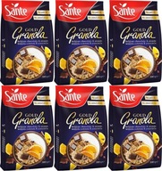 Granola Gold Chocolate Orange Sante 300g x6