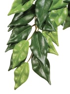 EXO TERRA závesná rastlina Ficus 70cm dekor terária