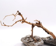 Koreňová vetva bonsai akváriový strom 281