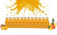 Smoothie mousse 100% mango banán pomaranč 12x240ml Smoothie mousse 100% mango banán pomaranč 12x240ml