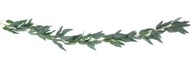 Girlanda Willow listy, 2 m Girlanda Willow listy, 2 m