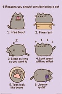 Plagát Pusheen Reasons to be a Cat 61x91,5 cm Plagát Pusheen Reasons to be a Cat 61x91,5 cm