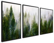 Zarámované plagáty, moderné VEĽKÉ obrazy lesnej hmly