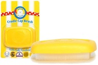 BEAN CLEAN BREF FOR CAAPILITY BEAN CLEAN BREF FOR CAAPILITY