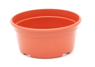 Chryzantéma terakotová miska 20cm - 2,2L 100 ks Chryzantéma terakotová miska 20cm - 2,2L 100 ks