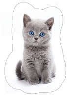 Tvarovaný vankúš Cat Kitten šedý ako darček Tvarovaný vankúš Cat Kitten šedý ako darček