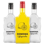 10X WAVE Fľaše 500ml s potlačou HOME LEMON LINK