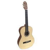 Klasická gitara 4/4 Riverwest G-391