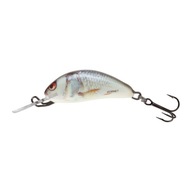 Wobler Salmo Hornet SNK real dace QHT024