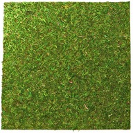 PODKLAD A PODKLAD Z PRÍRODNÉHO ŽIVÉHO MACHU 45X45CM PODKLAD A PODKLAD Z PRÍRODNÉHO ŽIVÉHO MACHU 45X45CM
