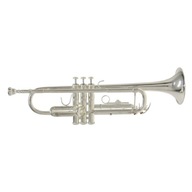 Bachova trúbka v ladení Bb TR650S