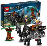 LEGO Harry Potter Thestrals a Rokfortský kočiar 76400