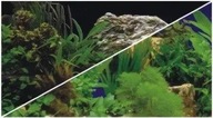 Hobby Obojstranné pozadie akvária 30cm-25m prevedenie 122