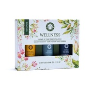 Sada esenciálnych olejov pre Wellness aromaterapiu