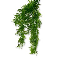 BioPlant Hanging Bamboo umelý závesný bambus 80cm BioPlant Hanging Bamboo umelý závesný bambus 80cm