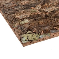 Zázemie terária NATURAL stena 30x30 cm Zázemie terária NATURAL stena 30x30 cm