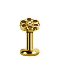 SS316L GOLD PVD labret 1,2x6 tl 0,8 mm m39 SS316L GOLD PVD labret 1,2x6 tl 0,8 mm m39