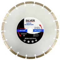 SEGMENTOVANÝ DIAMANTOVÝ DISK PRE BETÓNOVÚ KOCKU 230 MM S10204 SEGMENTOVANÝ DIAMANTOVÝ DISK PRE BETÓNOVÚ KOCKU 230 MM S10204