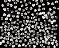 LED svetlá na vianočný stromček Bulinex 20-152 100 svetiel LED svetlá na vianočný stromček Bulinex 20-152 100 svetiel