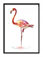 OBRAZOVÝ PLAGÁT V RÁME 33x43 cm Flamingo P557 OBRAZOVÝ PLAGÁT V RÁME 33x43 cm Flamingo P557