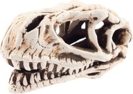 Aqua Nova Dinosaur Lebka 14x7x7 N-28065 Aqua Nova Dinosaur Lebka 14x7x7 N-28065