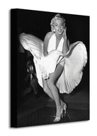 Nástenný obraz s Marilyn Monroe, plátno, 30x40 cm Nástenný obraz s Marilyn Monroe, plátno, 30x40 cm