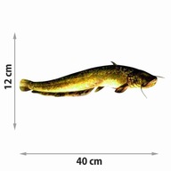 NÁLEPKA SUMEC NA AUTOLOD 40 cm + ZADARMO NÁLEPKA SUMEC NA AUTOLOD 40 cm + ZADARMO
