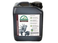 Bukový decht - atraktant pre diviaky 2,5l (3kg) Bukový decht - atraktant pre diviaky 2,5l (3kg)