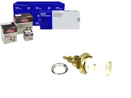 DELPHI SNÍMAČ TEPLOTY VODY PEUGEOT C1/107/HRAČKA DELPHI SNÍMAČ TEPLOTY VODY PEUGEOT C1/107/HRAČKA