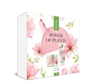 Sada POWER OF PPLANTS ROSE Sada POWER OF PPLANTS ROSE