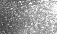 Statická okenná fólia Decoban 67,5x150 cm S6724
