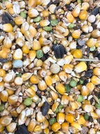 Krmivo pre holuby Standard S Kampol 25kg mix Krmivo pre holuby Standard S Kampol 25kg mix