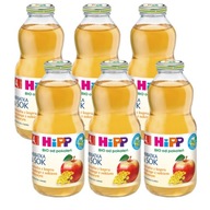 HiPP BIO Bio feniklový čaj a šťava. 6 x 500 ml HiPP BIO Bio feniklový čaj a šťava. 6 x 500 ml