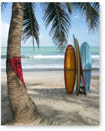 Obraz plagátu PALM BEACH SURFING 40x50 cm #118 Obraz plagátu PALM BEACH SURFING 40x50 cm #118