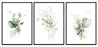 OBRAZOVÉ PLAGÁTY V RÁME 53x73cm Triptych Kvety P820