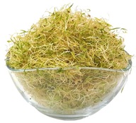 MRKVINA - mrkva, semienka na klíčky 250g MRKVINA - mrkva, semienka na klíčky 250g