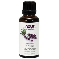 NOW Foods Esenciálny olej Spike Lavender 30ml OLEJ NOW Foods Esenciálny olej Spike Lavender 30ml OLEJ