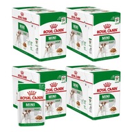 ROYAL CANIN SHN Mini Adult mokré krmivo pre psov v omáčke 48X85G