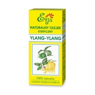 Ylangový olej 10ml Etja