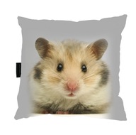 VANKÚŠ so ŠKRČKOM, škrečkom 40x40, perfektný DARČEK VANKÚŠ so ŠKRČKOM, škrečkom 40x40, perfektný DARČEK