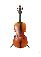 Umelec na výrobu južných huslí Luthier's Cello