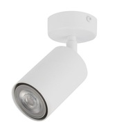stropné svietidlo stropné svietidlo / bodové Zoom 1 x GU10 LED biela lakovaná oceľ stropné svietidlo stropné svietidlo / bodové Zoom 1 x GU10 LED biela lakovaná oceľ